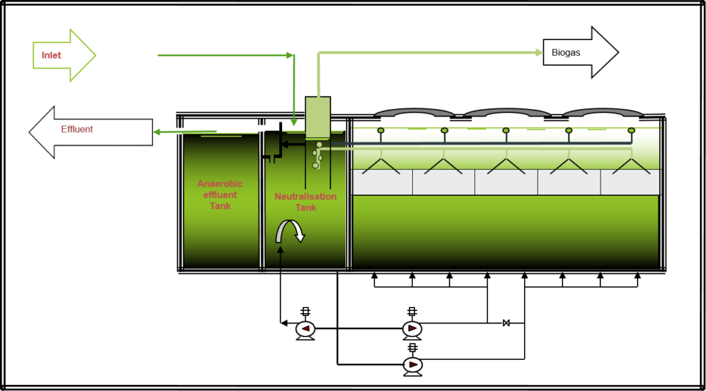 Upflow Anaerobic Sludge Blanket Reactor (UASB) VIRIDIS Engineering
